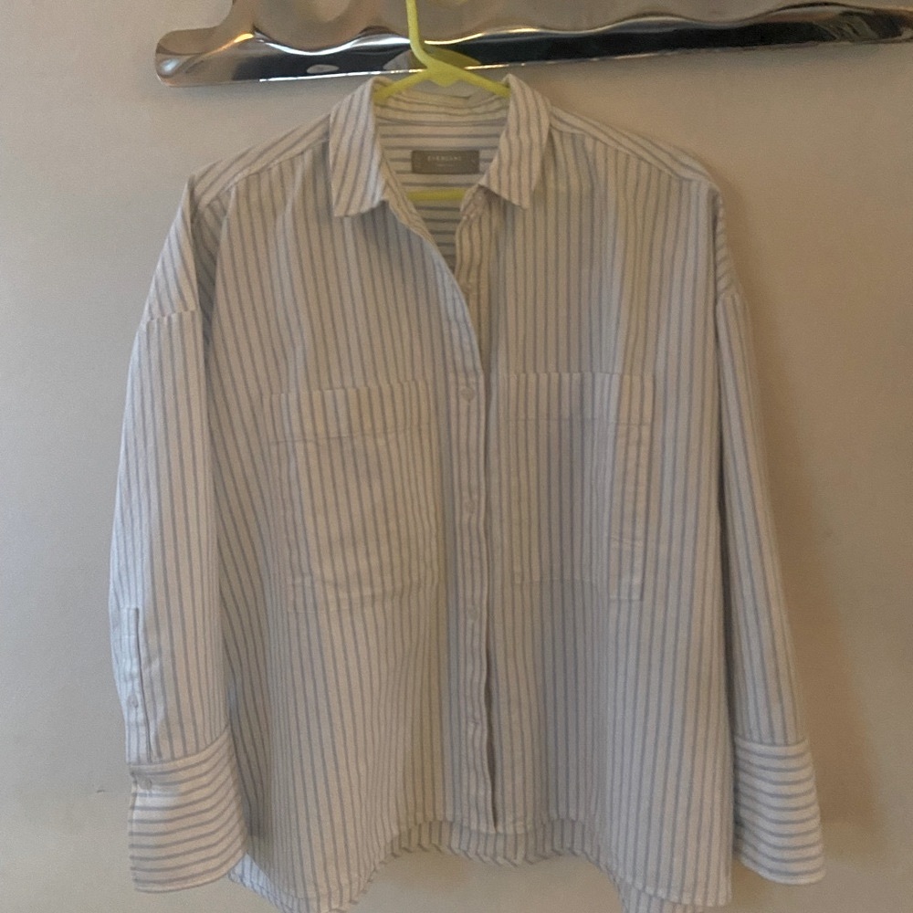Everlane Blue and White Striped button up Oxford Shirt